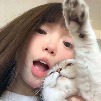 奔流犬：先生归来